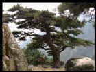 山東後石塢