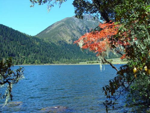 四川伍須海圖片