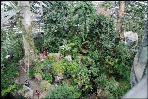 上海植物園圖片