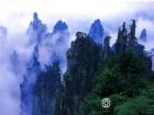 索溪峪自然保護區風景