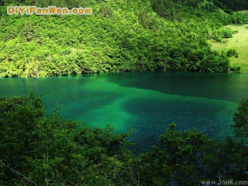 四川臥龍海圖片