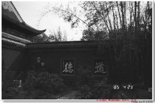 長春觀圖片