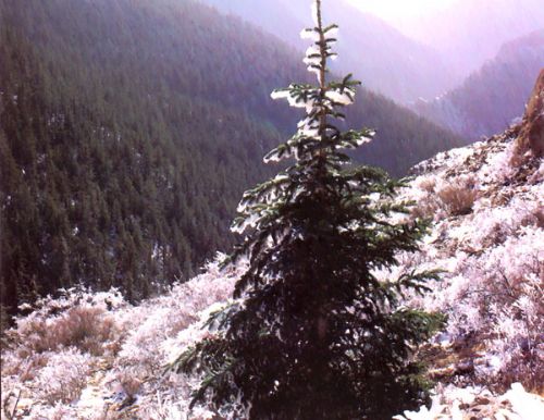 賀蘭山風景區圖片
