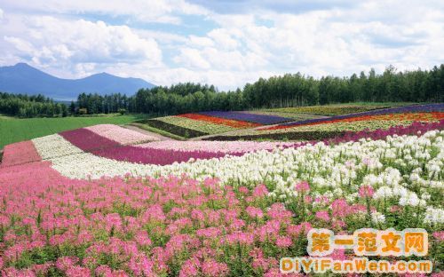 北海道美景圖片
