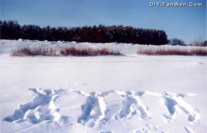 漠河風光圖片