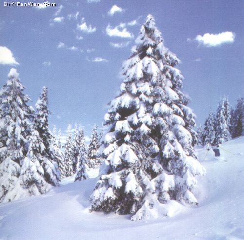 亞布力滑雪旅遊度假區圖片