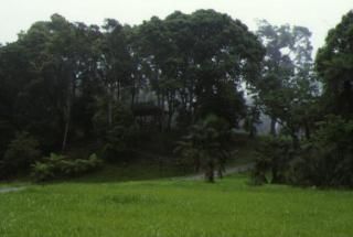 福山植物園圖片
