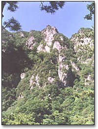 王順山森林公園圖片