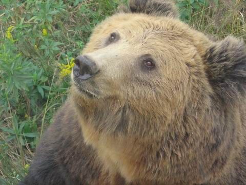 上海野生動物園圖片