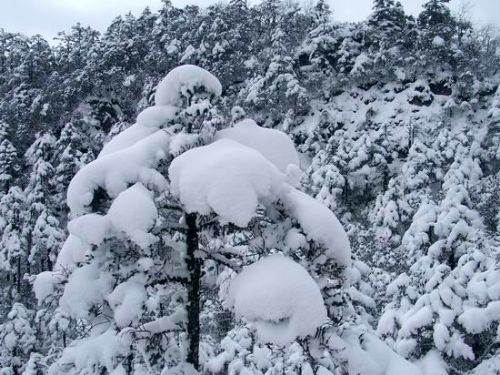 西嶺雪山圖片