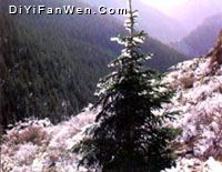 賀蘭山風景區圖片