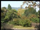 山東中山公園