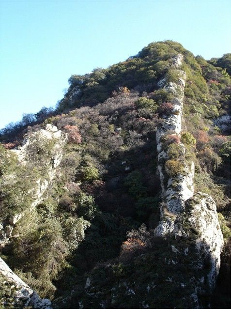新會圭峰山圖片