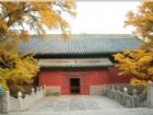 北京大覺寺組圖（4）