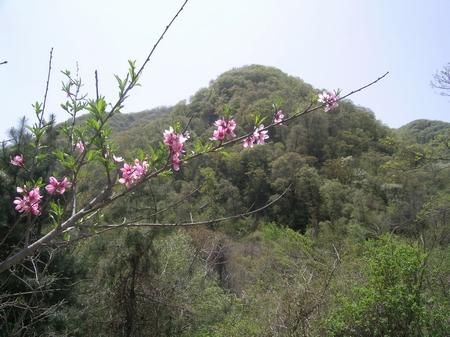 甘山森林公園圖片