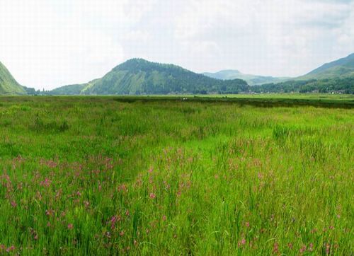 雲南騰衝北海濕地圖片