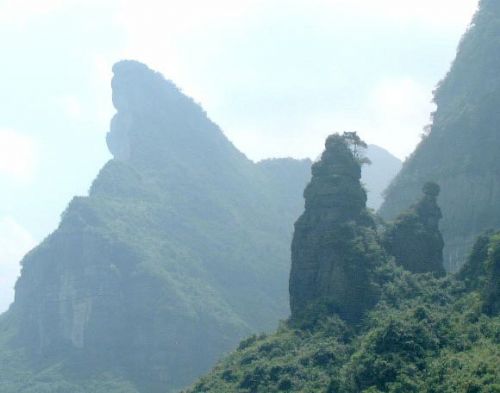 金佛山圖片