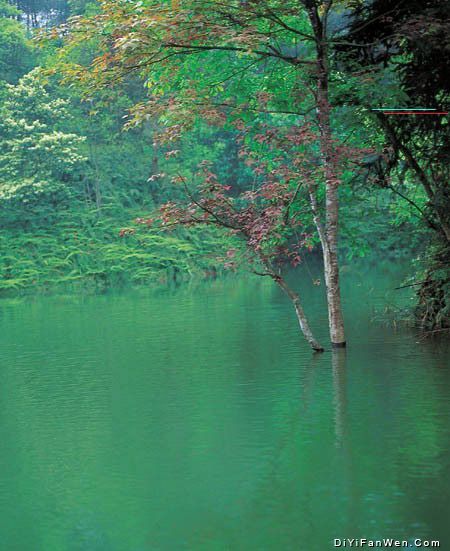 石象湖圖片