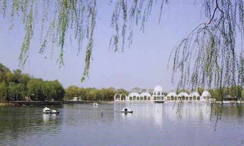 太陽島公園圖片