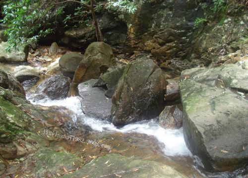 梧桐山風景區圖片