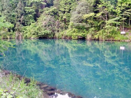 浙江杭州天目山圖片