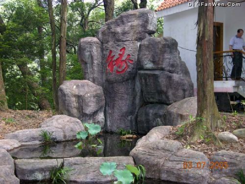三明格氏栲國家森林公園圖片