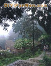 華頂國家森林公園圖片