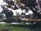 南湖公園