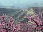 三門峽春色