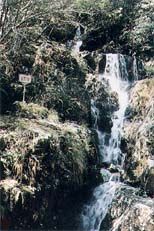井岡山圖片
