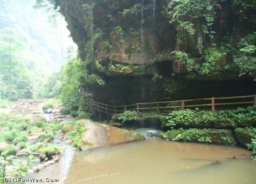 四川碧峰峽圖片