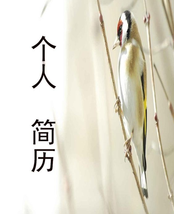 採購員簡歷封面模板