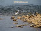 浮山風景名勝區