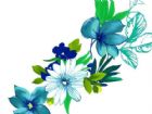 黑板報花邊：鮮花