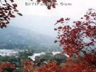 銅川風光