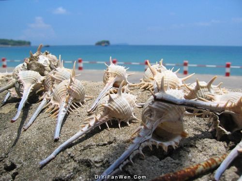 潿洲島圖片