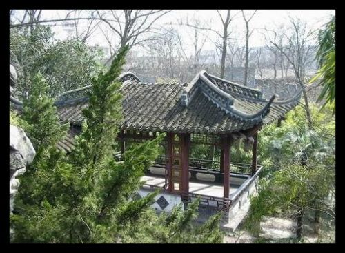 江蘇盆景園圖片