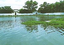 八大山人故居圖片