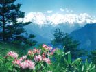 西嶺雪山
