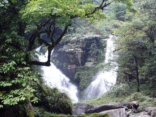 八大公山自然保護區圖片