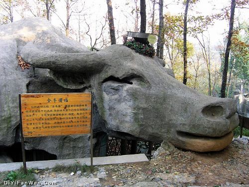 龍井問茶風光圖片