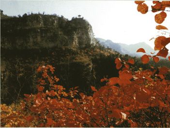 仙台山圖片