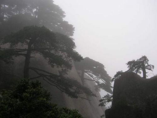 天柱山圖片