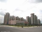 美麗東菀