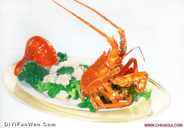 西蘭大龍蝦