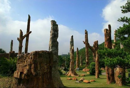 廣東仙湖植物園圖片