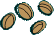 咖啡豆的規格與等級