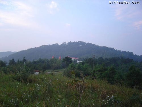 紫蓬山圖片