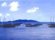 安徽巢湖姥山島圖組圖片