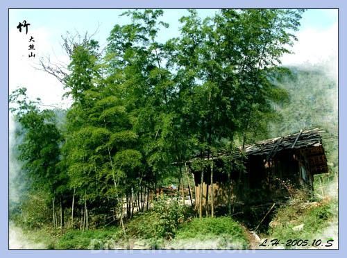 美麗的新化大熊山圖片